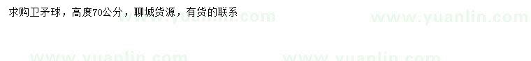求購高70公分衛(wèi)矛球
