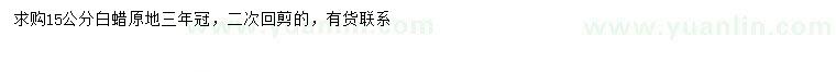 求購15公分白蠟