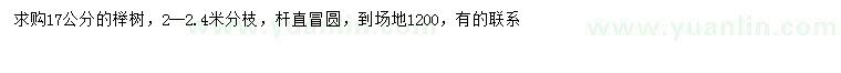 求購17公分櫸樹