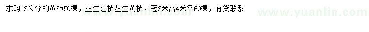 求購黃櫨、叢生紅櫨、叢生黃櫨