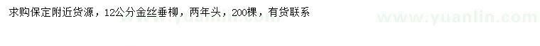 求購(gòu)12公分金絲垂柳