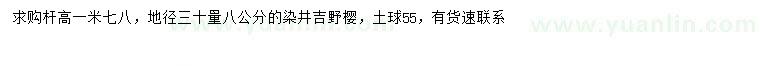 求購30量8公分染井吉野櫻