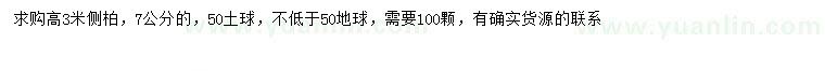 求購高3米側(cè)柏