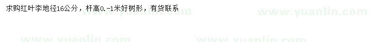 求購地徑16公分紅葉李