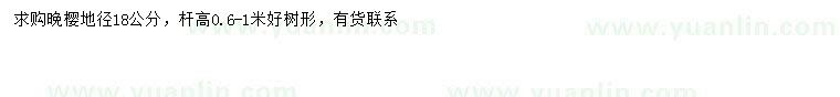 求購地徑18公分晚櫻