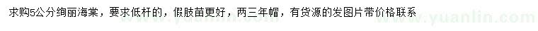 求購5公分絢麗海棠