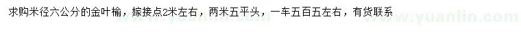 求購米徑6公分金葉榆