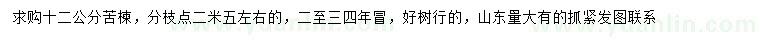 求購12公分苦楝