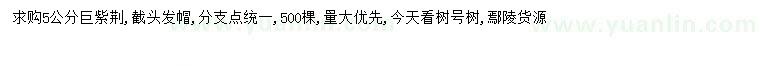 求購5公分巨紫荊