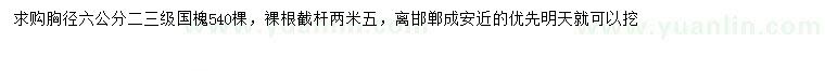 求購胸徑6公分國槐