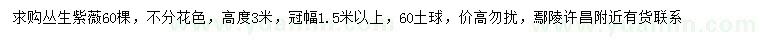 求購(gòu)冠幅1.5米以上叢生紫薇