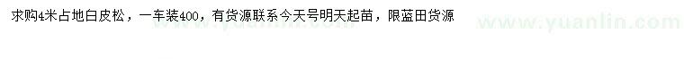 求購4米白皮松