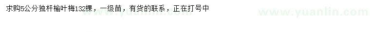 求購5公分榆葉梅