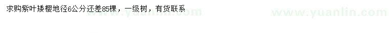 求購地徑6公分紫葉矮櫻