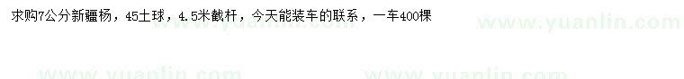 求購7公分新疆楊
