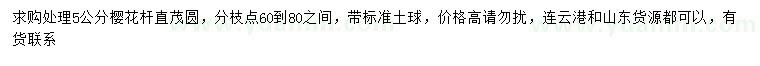 求購(gòu)5公分櫻花