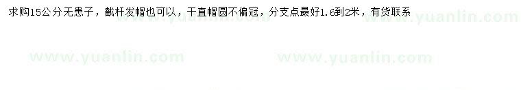 求購15公分無患子