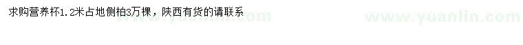 求購(gòu)1.2米側(cè)柏