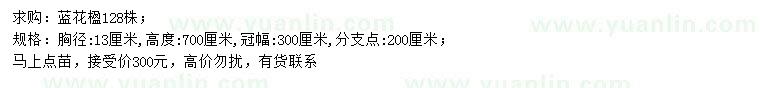求購胸徑13公分藍花楹