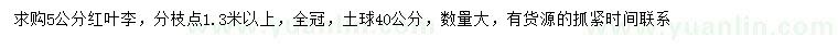 求購(gòu)5公分紅葉李