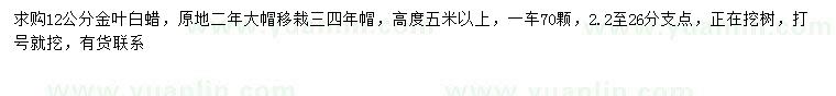 求購12公分金葉白蠟