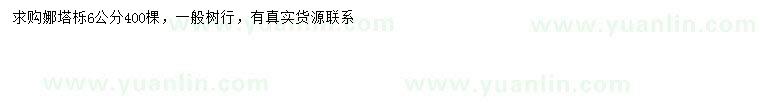求購(gòu)6公分娜塔櫟