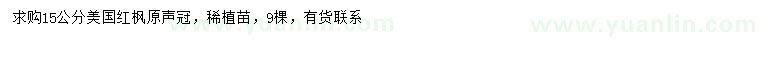 求購15公分美國紅楓