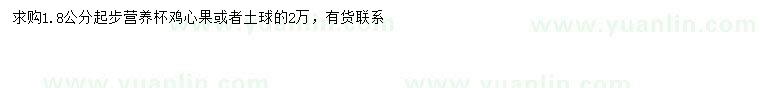 求購1.8公分以上雞心果