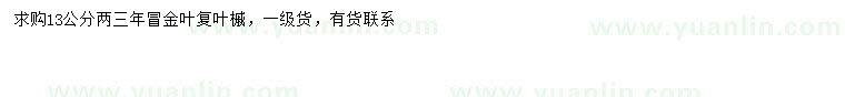 求購13公分金葉復(fù)葉槭