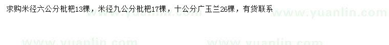 求購米徑6、9公分枇杷、10公分廣玉蘭