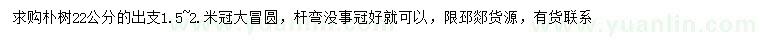 求購22公分樸樹