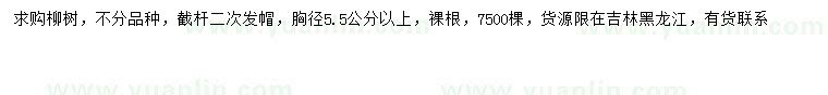 求購胸徑5.5公分以上柳樹