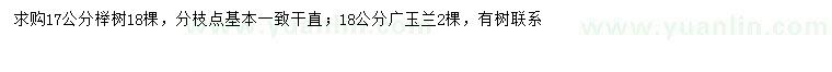 求購17公分櫸樹、18公分廣玉蘭