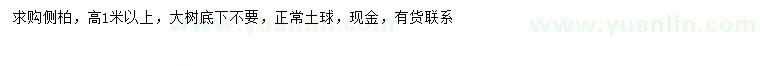 求購高1米以上側(cè)柏