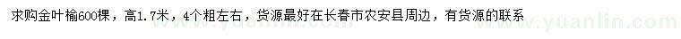 求購高1.7米金葉榆