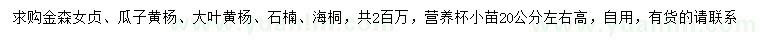 求購(gòu)金森女貞、瓜子黃楊、大葉黃楊