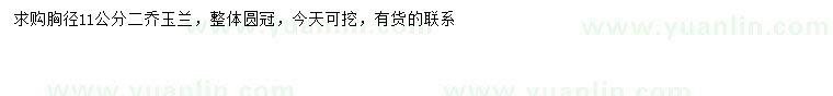 求購(gòu)胸徑11公分二喬玉蘭