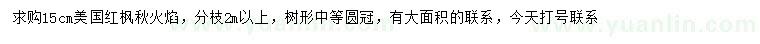 求購15公分美國紅楓秋火焰