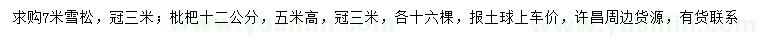 求購7米雪松、12公分枇杷