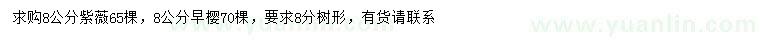 求購(gòu)8公分紫薇、早櫻