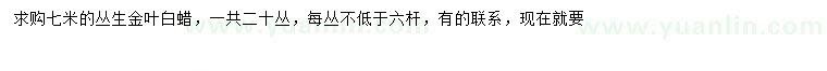 求購7米叢生金葉白蠟