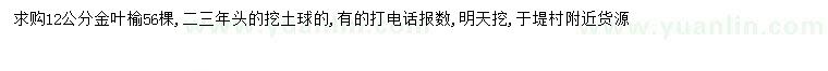 求購12公分金葉榆