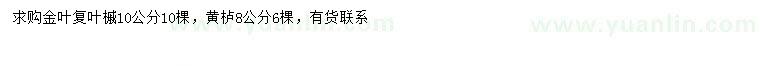 求購(gòu)10公分金葉復(fù)葉槭、8公分黃櫨