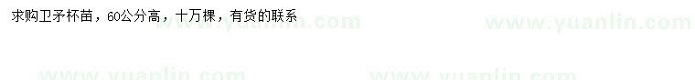 求購(gòu)高60公分衛(wèi)矛