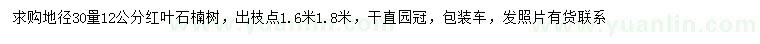 求購30量12公分紅葉石楠