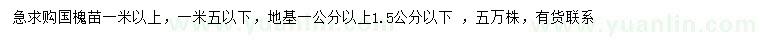 求購1-1.5米以上國槐