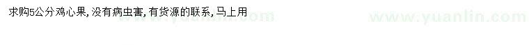 求購5公分雞心果