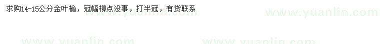 求購14-15公分金葉榆