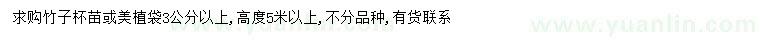 求購高5米以上竹子