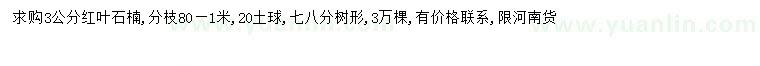 求購3公分紅葉石楠